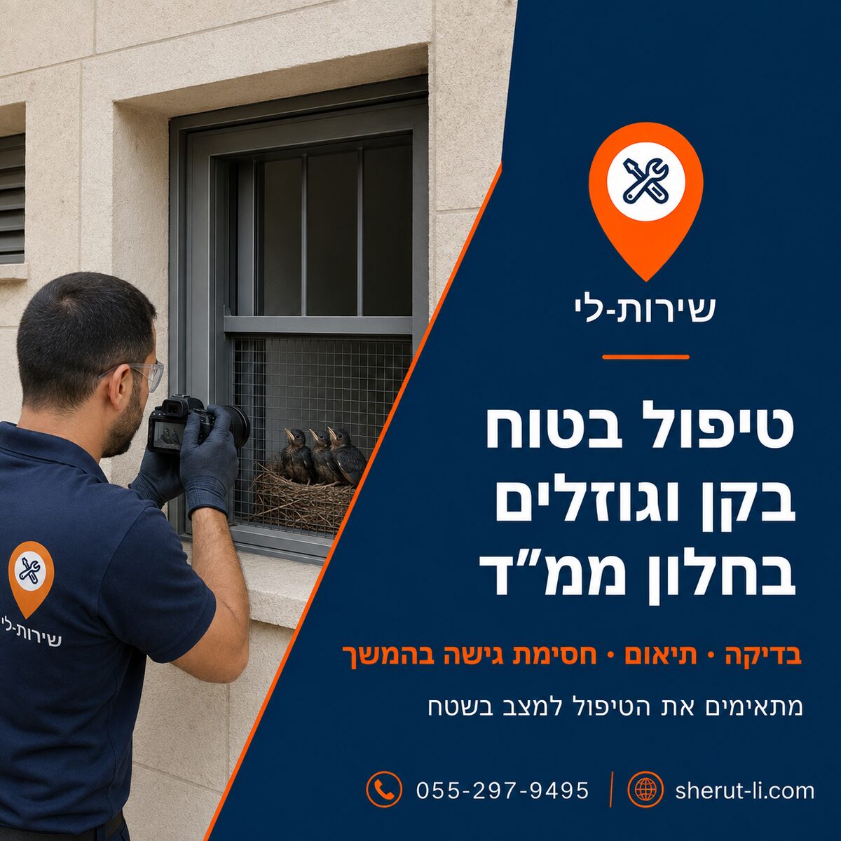 הרחקת מיינות מחלון ממ"ד בנשר טיפול בטוח בקן וגוזלים בחלון ממ