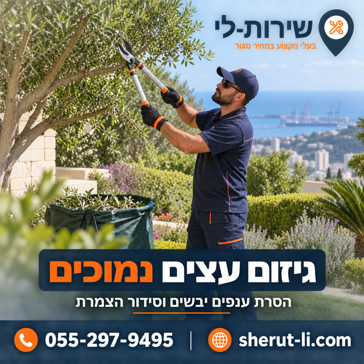 גיזום עצים נמוכים בחצר